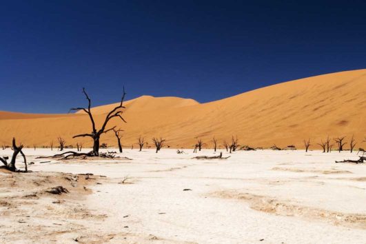 Sossusvlei83