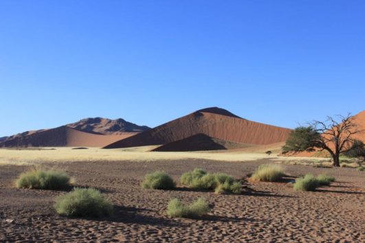 Namib Desert-Sossusvlei Park