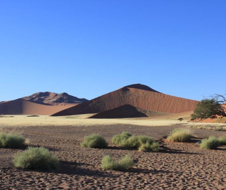 Namib Desert-Sossusvlei Park
