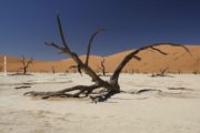 Sossusvlei15